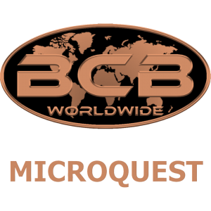 MicroQuest -Single Site Multi Tab